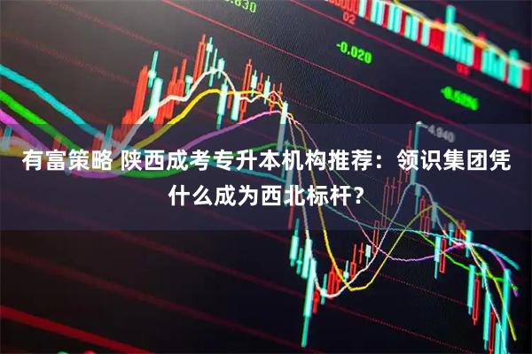 有富策略 陕西成考专升本机构推荐：领识集团凭什么成为西北标杆？