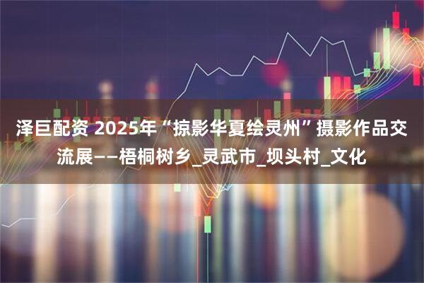 泽巨配资 2025年“掠影华夏绘灵州”摄影作品交流展——梧桐树乡_灵武市_坝头村_文化