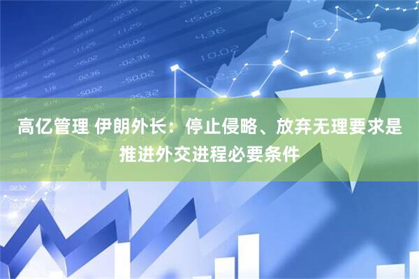 高亿管理 伊朗外长：停止侵略、放弃无理要求是推进外交进程必要条件