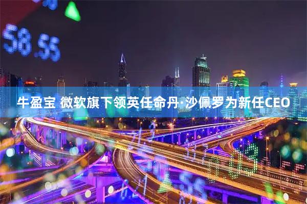 牛盈宝 微软旗下领英任命丹·沙佩罗为新任CEO