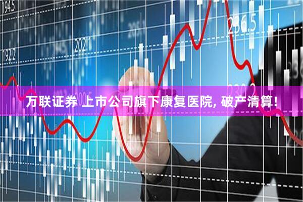 万联证券 上市公司旗下康复医院, 破产清算!