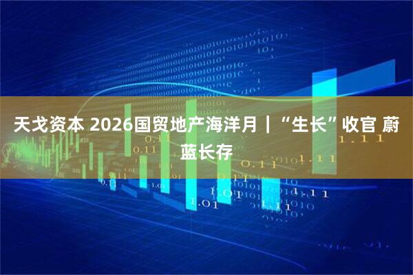 天戈资本 2026国贸地产海洋月｜“生长”收官 蔚蓝长存